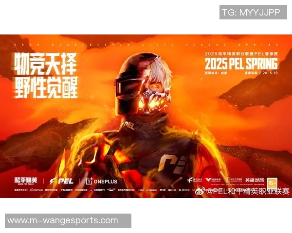 esports最新数据张强畅谈和平精英成长之路与未来展望的深度专访回顾